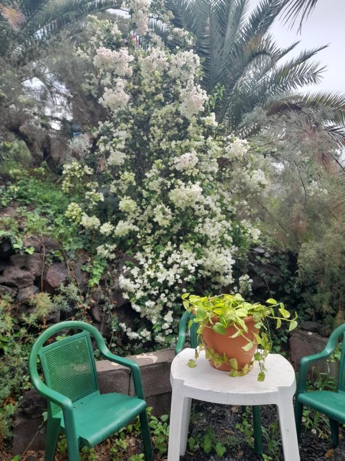 -The Garden - Apartment Las Palmas de Gran Canaria Exterior foto
