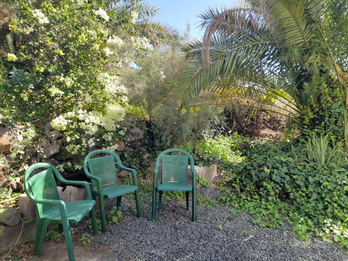 -The Garden - Apartment Las Palmas de Gran Canaria Exterior foto